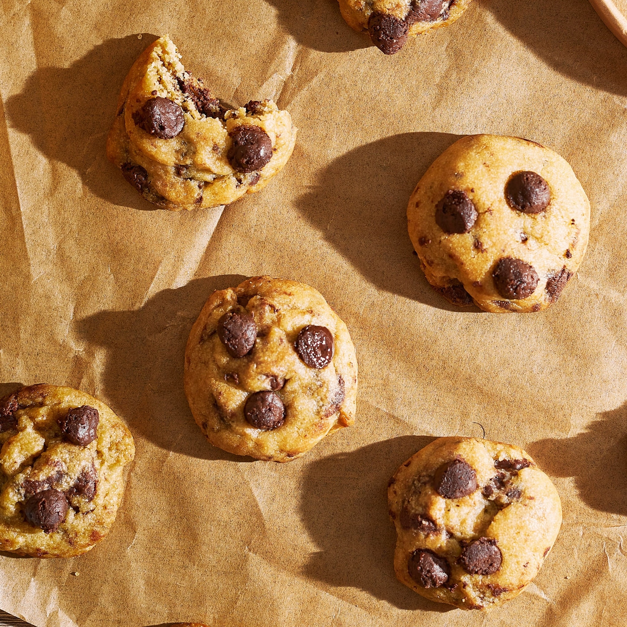 197411702_4595051150522270_3594215987411611581_n