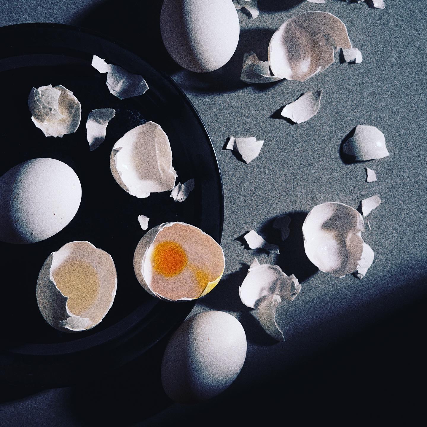 487124210_23976959401904822_8305598262019875937_n