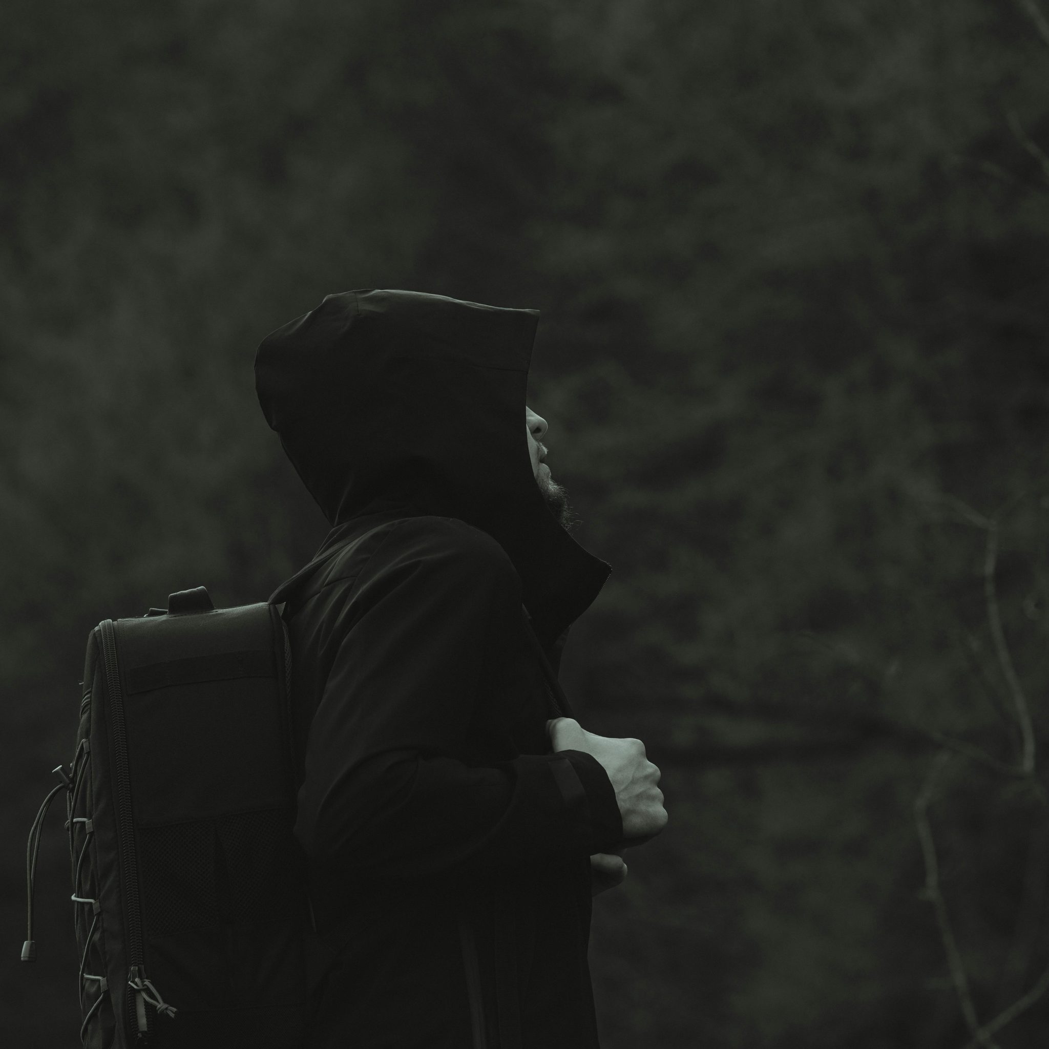 Professional, relaxed, and incredibly well-directed.